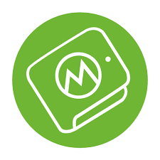 Moneyview budget app interface